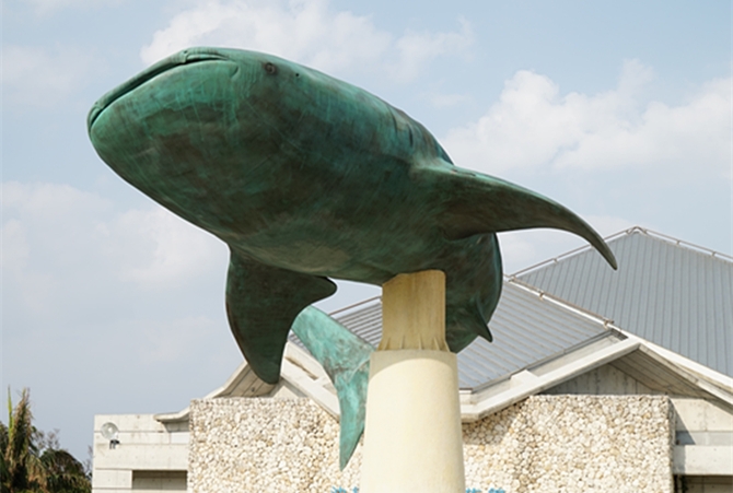 嘉手納空軍基地展望台 → 『東亞第一』美海水族館~黑潮探險~深層海~珊瑚礁黑潮海之旅~鯨鯊水中表演~海豚表演秀~珊瑚七色海 → OKINAWA水果樂園~鳥園~蝴蝶園(每人贈送精美小禮物乙個)